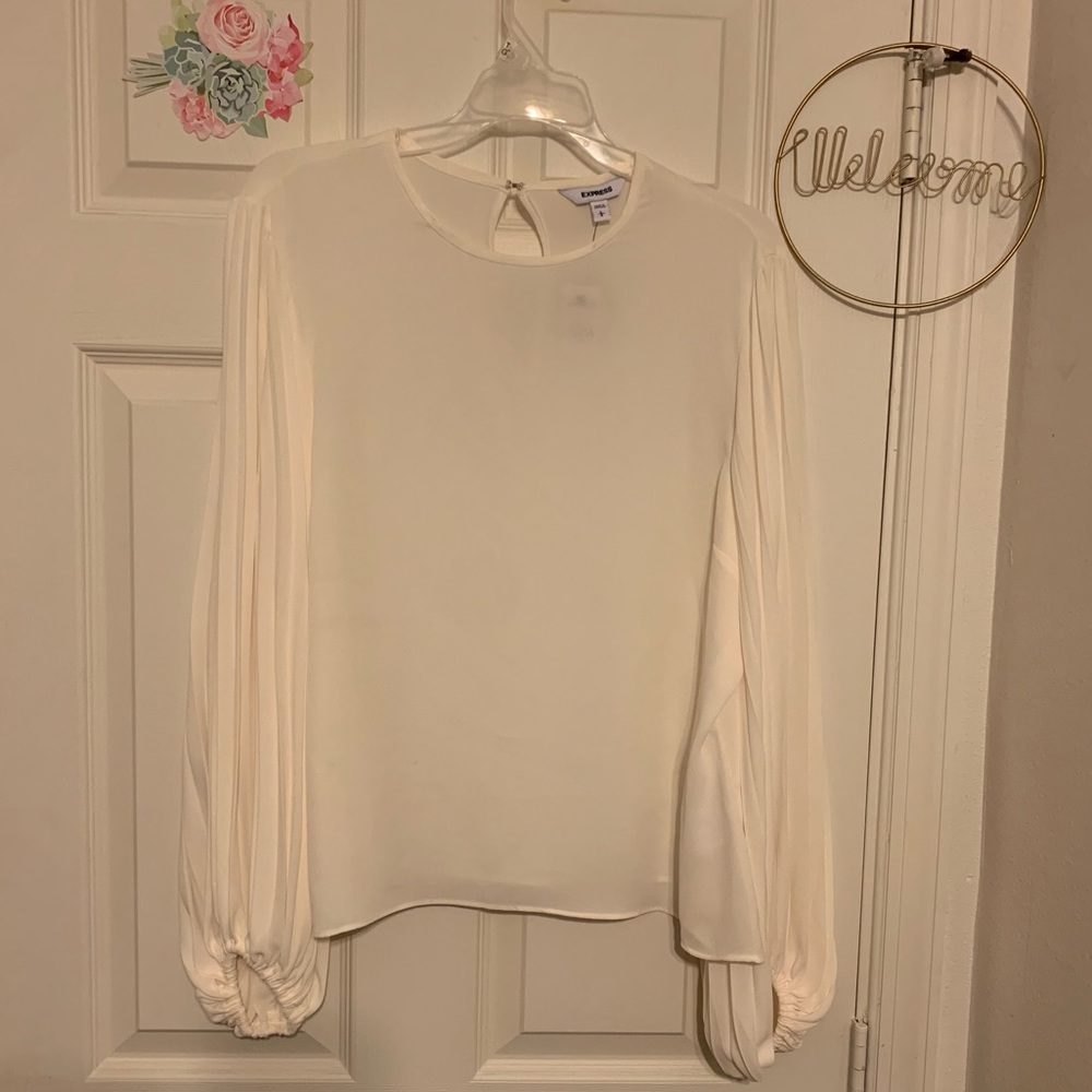 Long pleated sleeve blouse